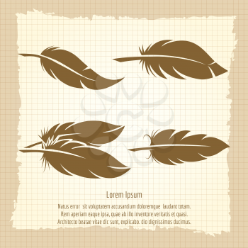 Vintage feather set on notebook page in retro design vector illustration