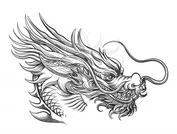 Hand drawn chineese dragon isolated on white background. Vector illustration