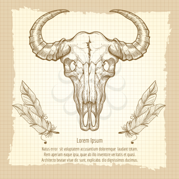 Hand drawn buffalo skull and boho style feathers vector on vintage background