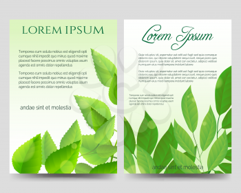 Spring flyers template design with green leaves vector