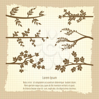 Vintage poster with tree branches silhouette design. Vector illustration