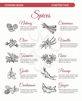 Hand drawn spices cooking book Ingredients page vector illustration