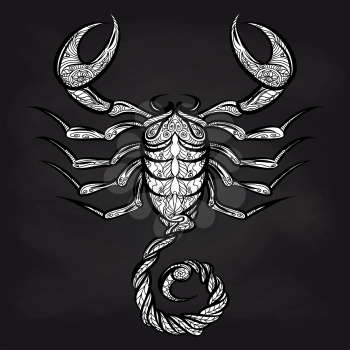 Doodle scorpion on blackboard background. Vector ornate Zodiac sign Scorpio design