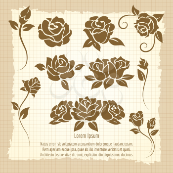 Vintage poster with roses flowers. Vector hand drawn decorative roses collection