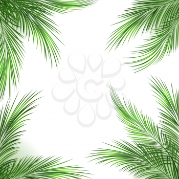 Palm leaves frame. Palmtree green leaf tropical beach border on white background, vector illustration
