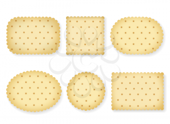 Biscuit crackers isolated on white background. Vector cartoon biscuits cookies of different shapes with cookie cracker texture