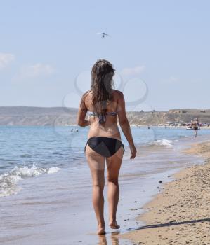 Girl walking on the beach, rear view. Walk the dark-haired woman in a swimsuit along the coastline on the sea beach.