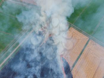 Burning straw in the fields of wheat after harvesting. The pollution of the atmosphere with smoke.