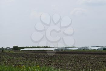 Greenhouse polycarbonate in a private garden. Farmland.