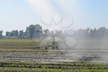 Irrigation system in the field of melons. Watering the fields. Sprinkler.