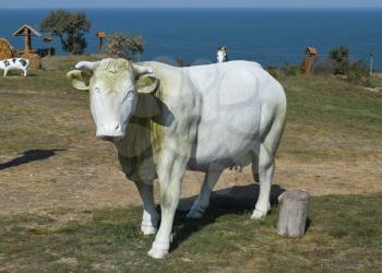 dummy cow. white toy cow with a bell.