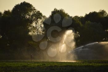 Irrigation system in field of melons. Watering the fields. Sprinkler.