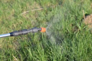 Spraying herbicide from the nozzle of the sprayer manual. Devices for processing plants in the garden.