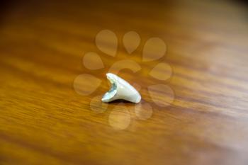 Tooth, metal ceramic crown on the table. Denture made of metal ceramics.
