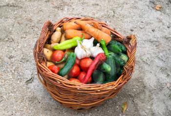 Baskets with vegetables. Assorted vegetables. Rural harvest