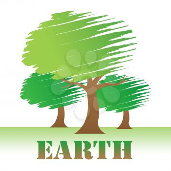 Earth Trees Representing Environment Forest And Nature
