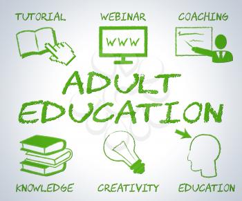 Adult Education Indicating Web Site And Websites