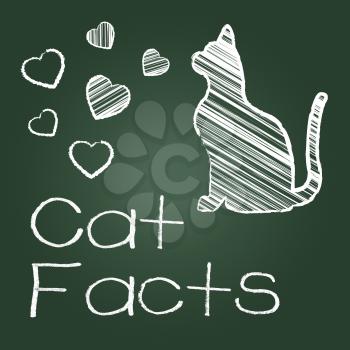 Cat Facts Representing Cats Knowledge And Feline