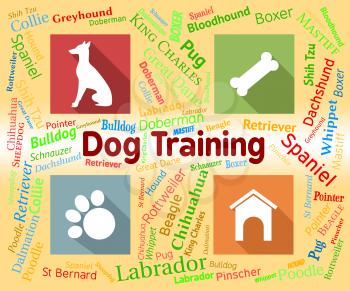 Dog Training Indicating Instruction Pups And Pup