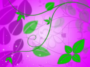 Floral Background Meaning Flowers Bloom And Backdrop