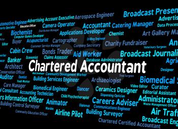 Chartered Accountant Meaning Balancing The Books And Book Keeper