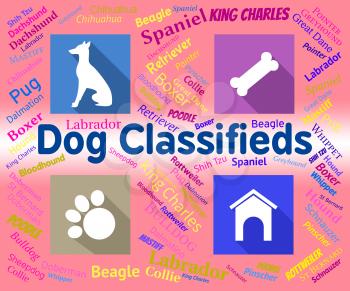Dog Classifieds Representing Pups And Canines Media