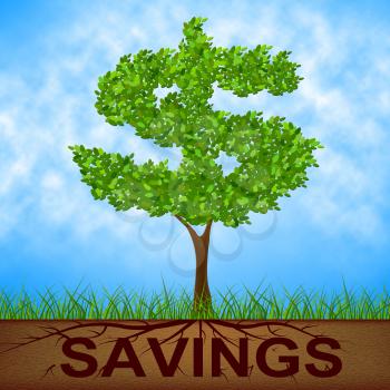 Savings Tree Indicating American Dollars And Reforestation