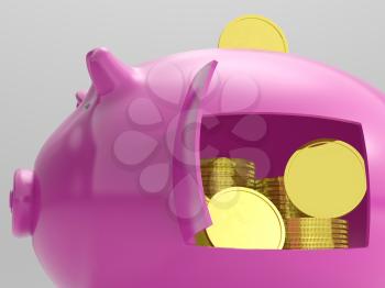 Coins In Piggy Showing Savings And Investment