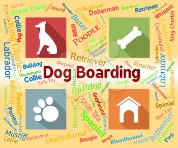Dog Boarding Meaning Doggy Daycare And Vacation