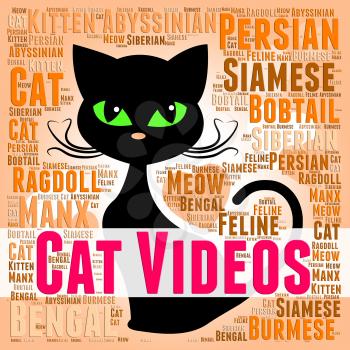 Cat Videos Indicating Cats Kitty And Movies