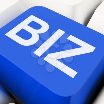 Biz Key Showing Online Or Web Business