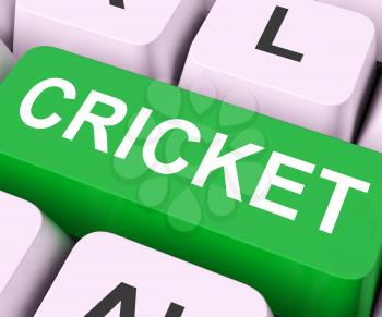 Cricket Key On Keyboard Meaning Sport Or Match 
