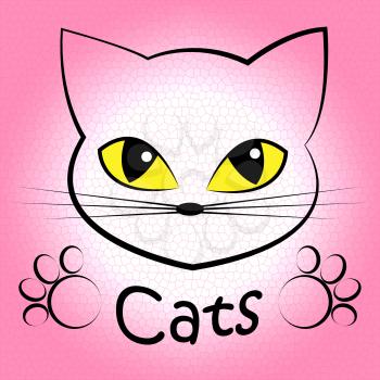Cats Word Indicating Pedigree Pet And Kitty