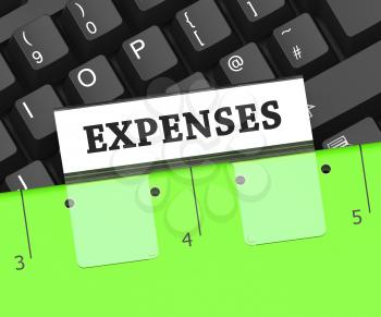Expenses File Representing Budgeting Expenditure And Spending 3d Rendering