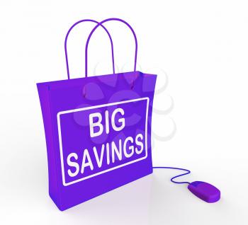 Big Savings Bag Representing Online Discounts and Reductions in Price