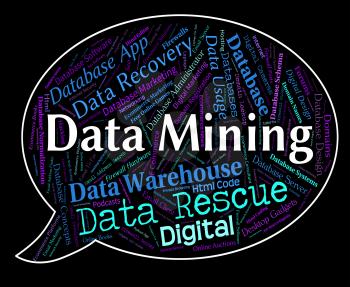 Data Mining Representing Information Words And Bytes