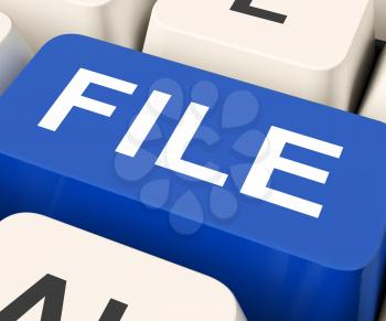 File Key Meaning Files Or Data File

