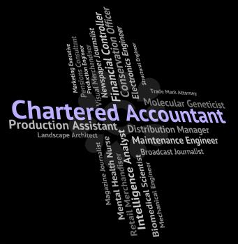 Chartered Accountant Indicating Balancing The Books And Book Keeper
