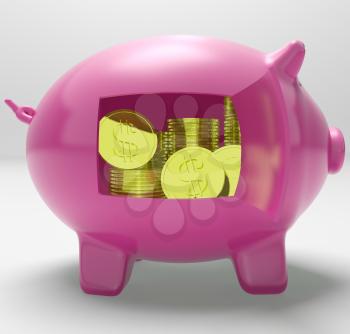 Dollars In Piggy Showing Rich American Fortune