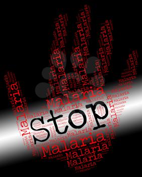 Stop Malaria Showing No Malarial And Disease