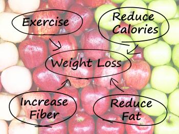 Weight Loss Diagram Showing Fiber Exercise Fat And Calories