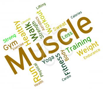 Muscle Words Representing Fitness Dumbell And Training 