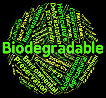 Biodegradable Word Showing Degrade Bacteria And Biodegrade