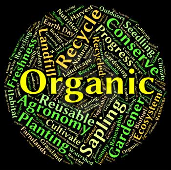 Organic Word Representing Healthy Biotic And Natural