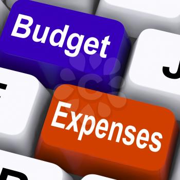 Budget Expenses Keys Showing Company Accounts And Budgeting