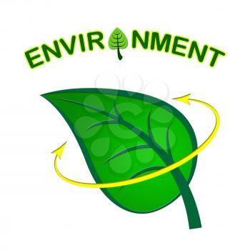 Environment Leaf Meaning Eco Friendly And Recycling