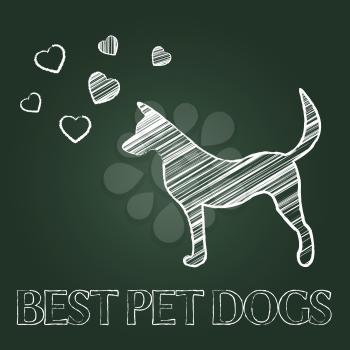 Best Pet Dogs Representing Domestic Animals And Finest