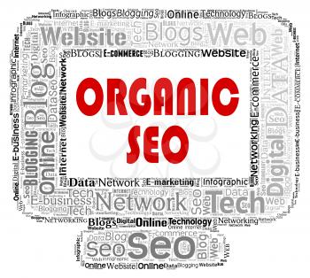 Organic Seo Showing Search Engines And Optimizing
