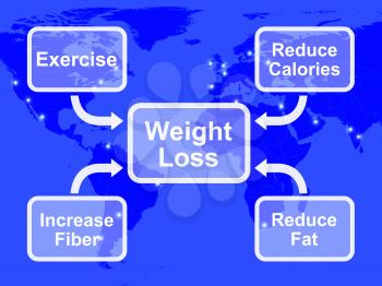 Weight Loss Diagram Shows Fiber Exercise Fat And Calories