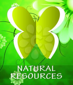 Natural Resources Butterfly Cutout Shows Nature Assets 3d Illustration